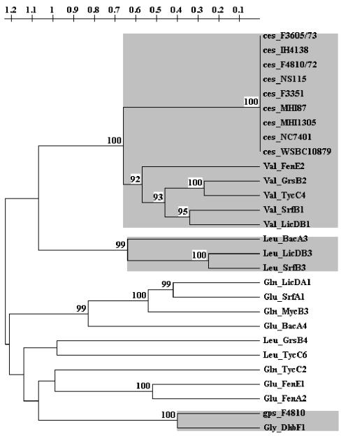 FIG. 2.