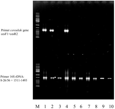 FIG. 5.