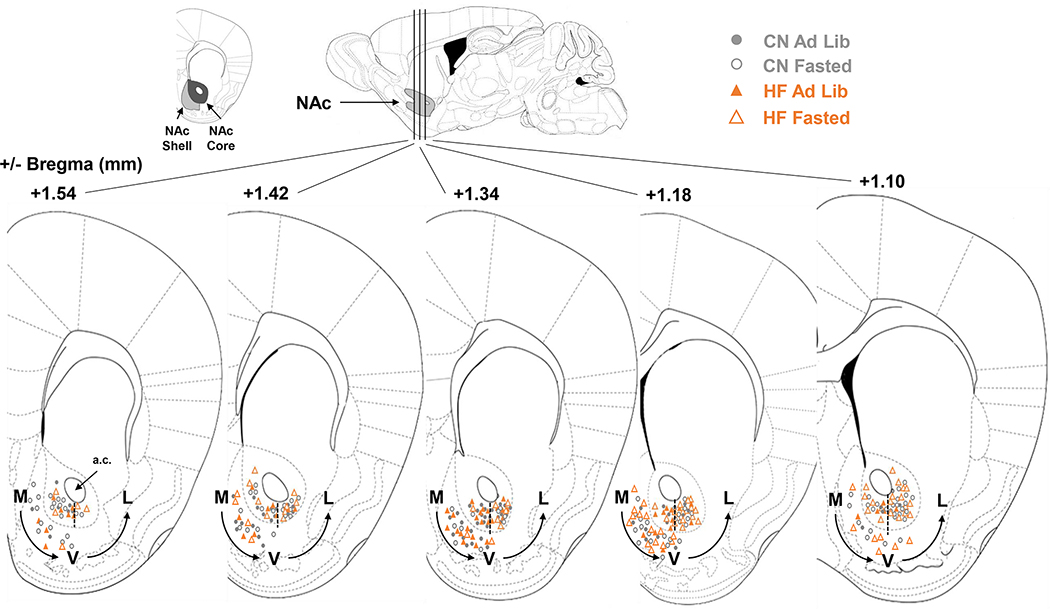 Figure 6: