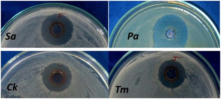 Figure 7