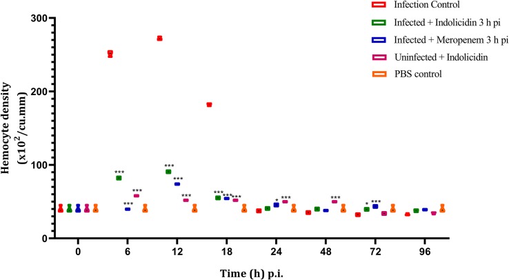 FIGURE 5