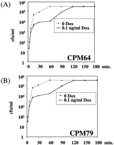 FIG. 5