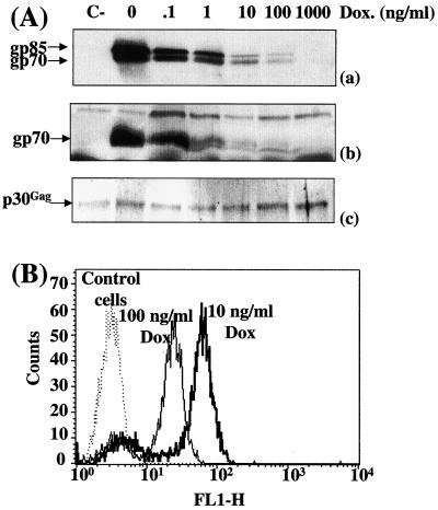 FIG. 1