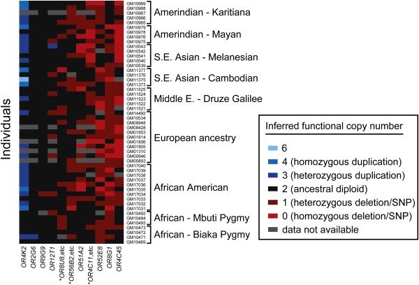 Figure 2