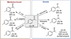 Scheme 6