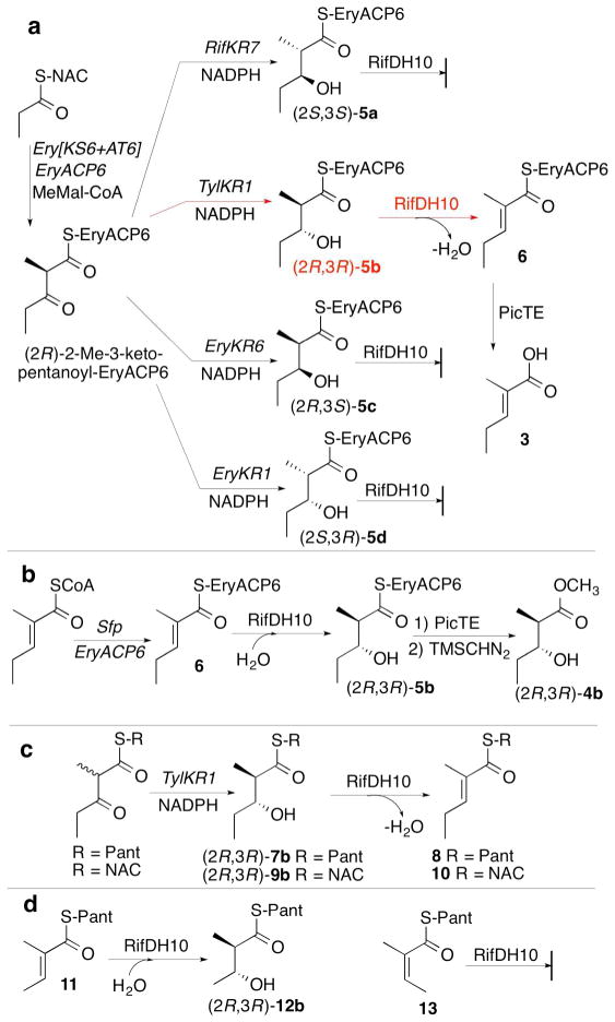 Figure 6