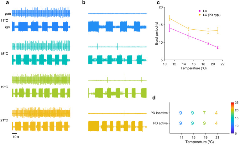 Figure 4—figure supplement 2.