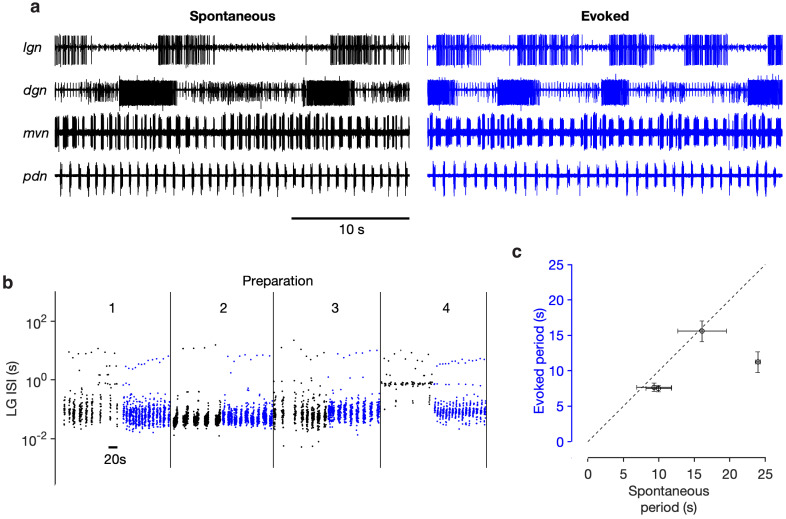 Figure 3—figure supplement 1.