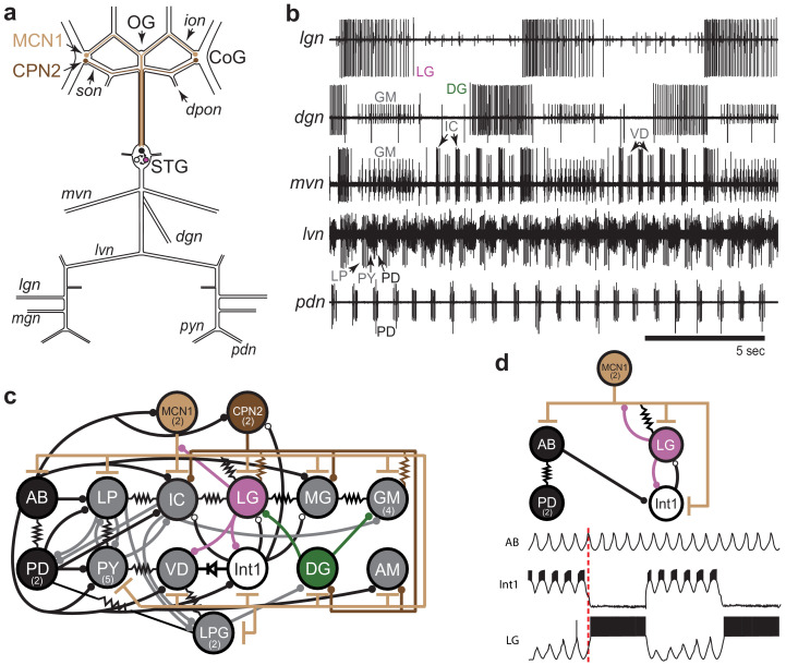 Figure 1.