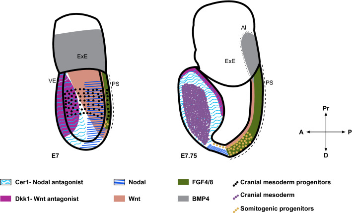 Fig. 2