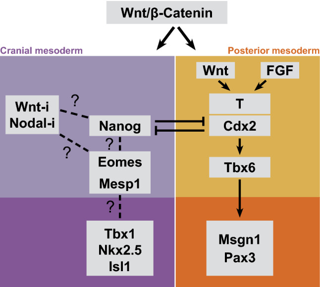 Fig. 3