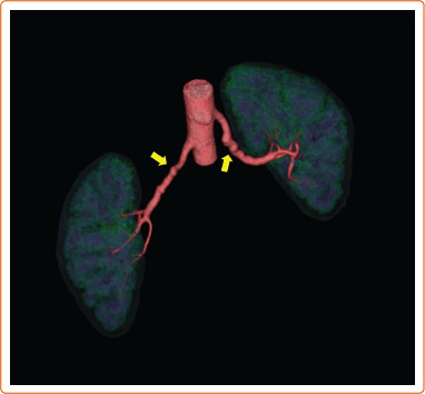 Figure 3: