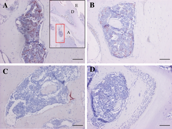 FIG. 2.