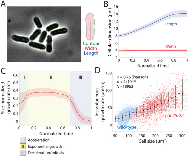 Figure 1: