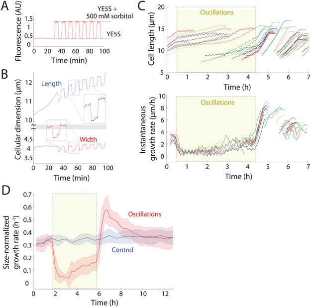 Figure 2: