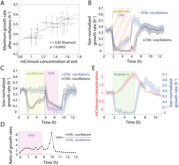 Figure 6: