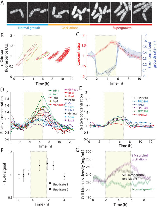 Figure 5: