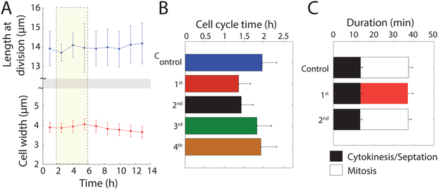 Figure 3: