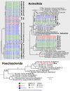 FIG 2