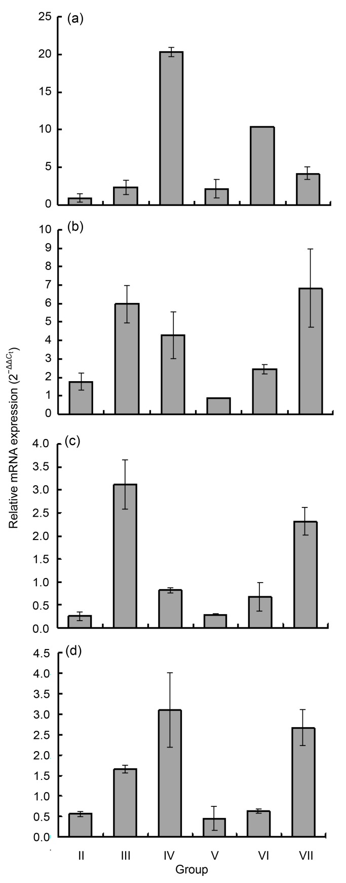 Fig. 6