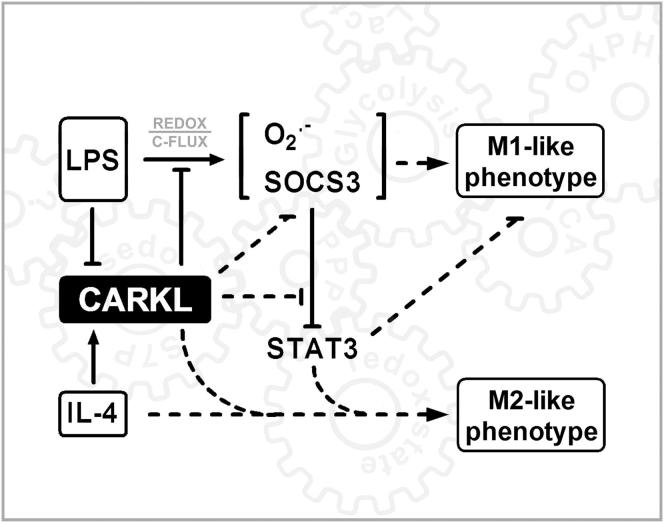 Figure 7