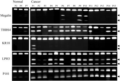 Fig. 4.