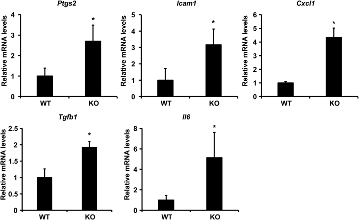 Figure 1