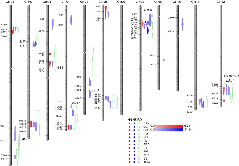 Fig. 3.