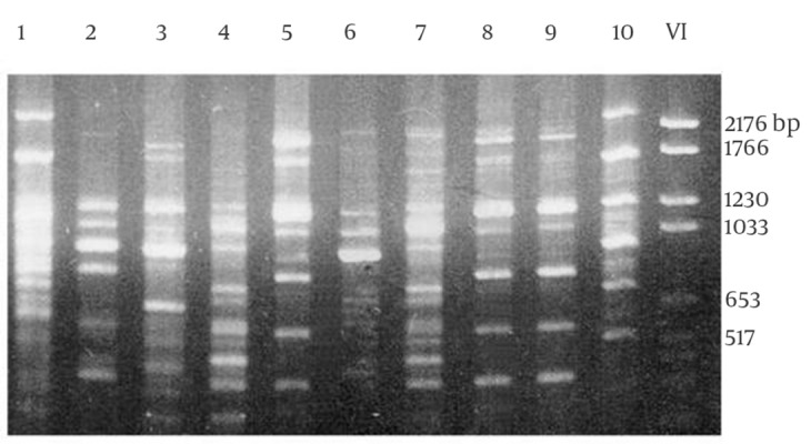 Figure 5.