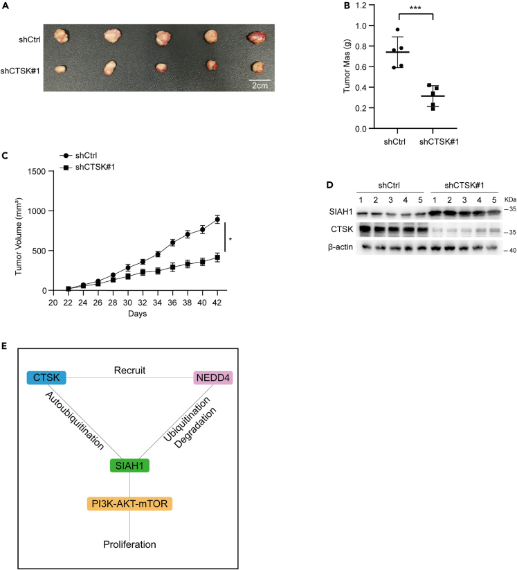 Figure 6