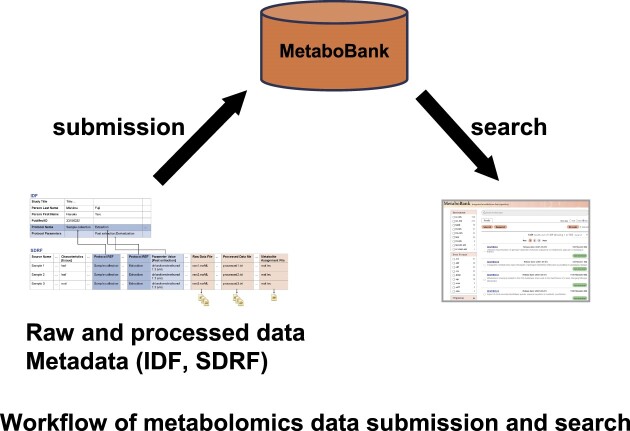 Graphical Abstract