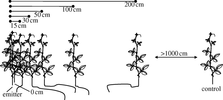 Figure 1.