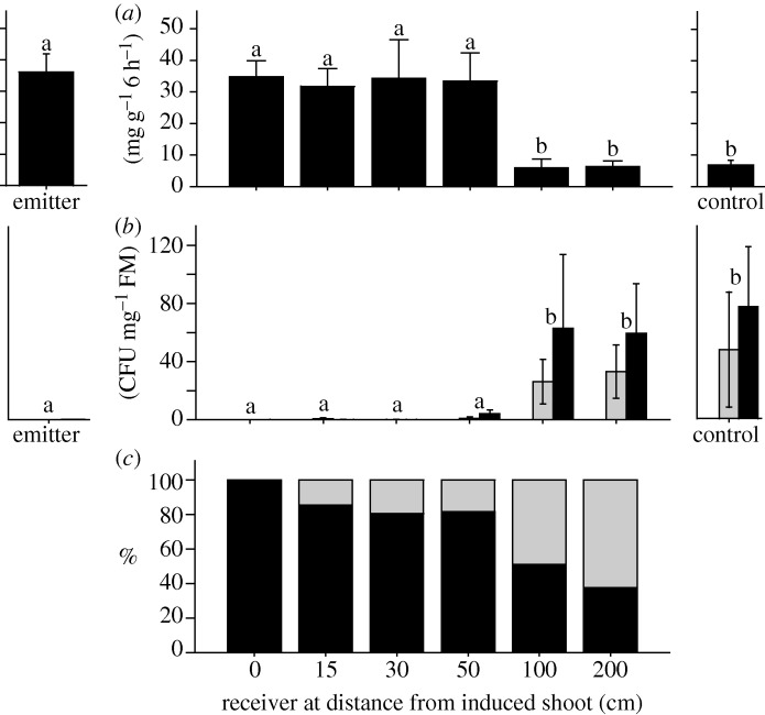 Figure 2.