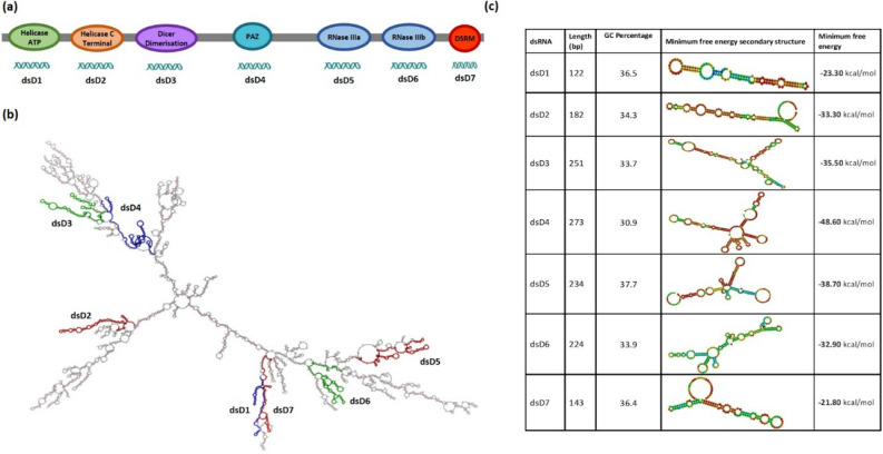 Figure 4