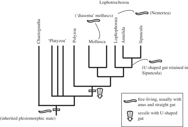 Figure 7.