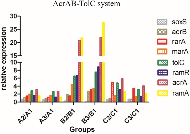 FIGURE 2