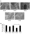 Fig 5