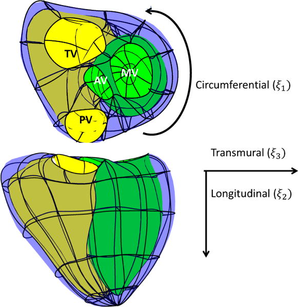 Fig. 2