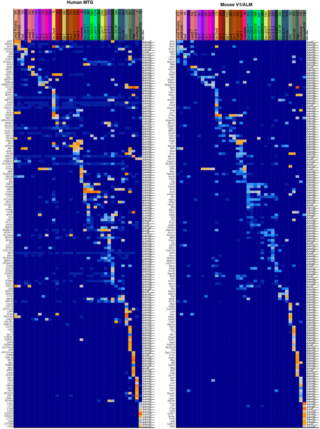 Extended Data Figure 13.