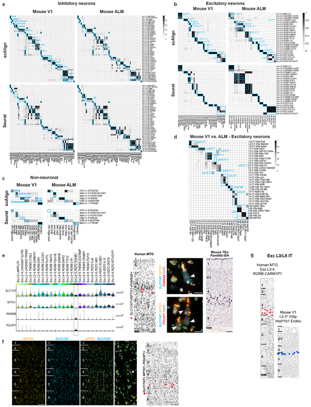 Extended Data Figure 12.