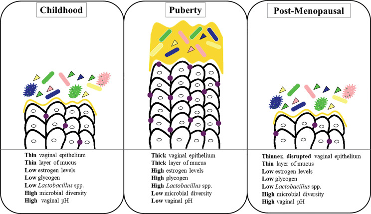 Figure 2