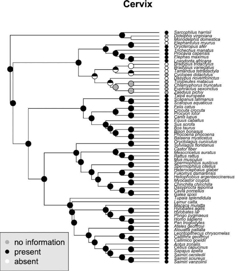 Fig. 9