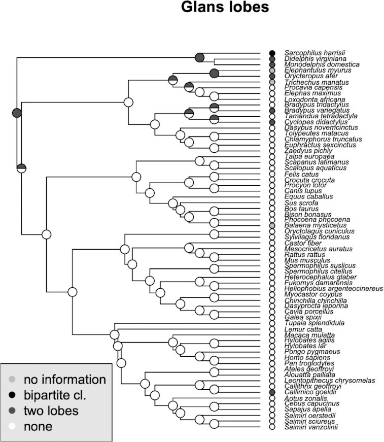 Fig. 8