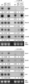 Figure 10.