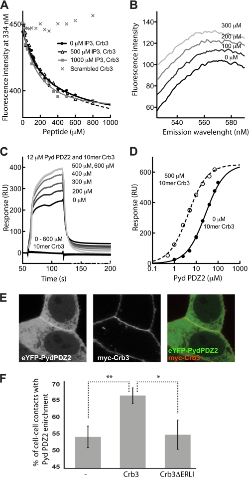 FIGURE 4.