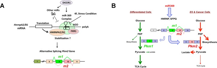 Fig 7