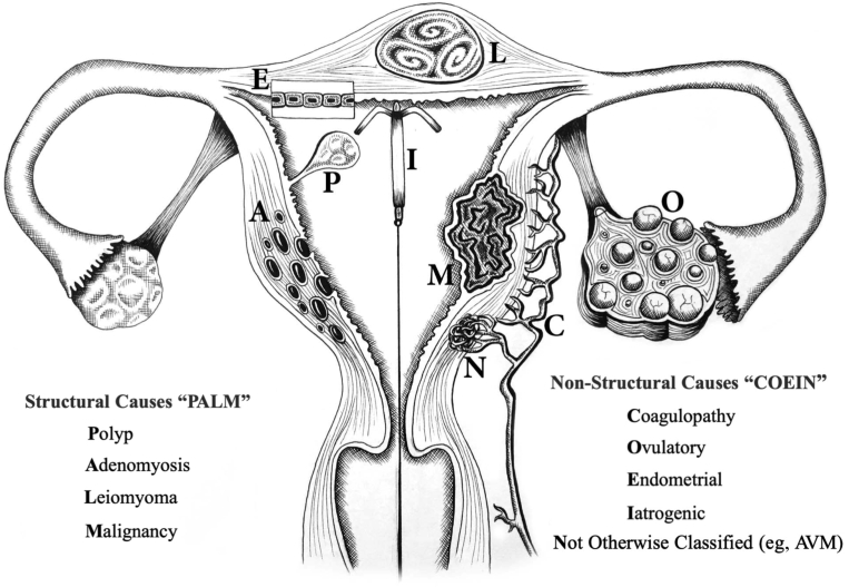 Figure 5