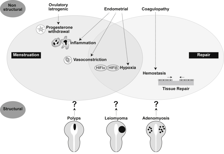 Figure 6