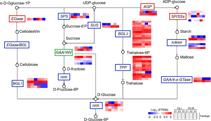 FIGURE 6