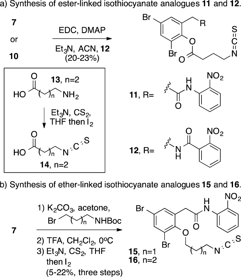 Scheme 2